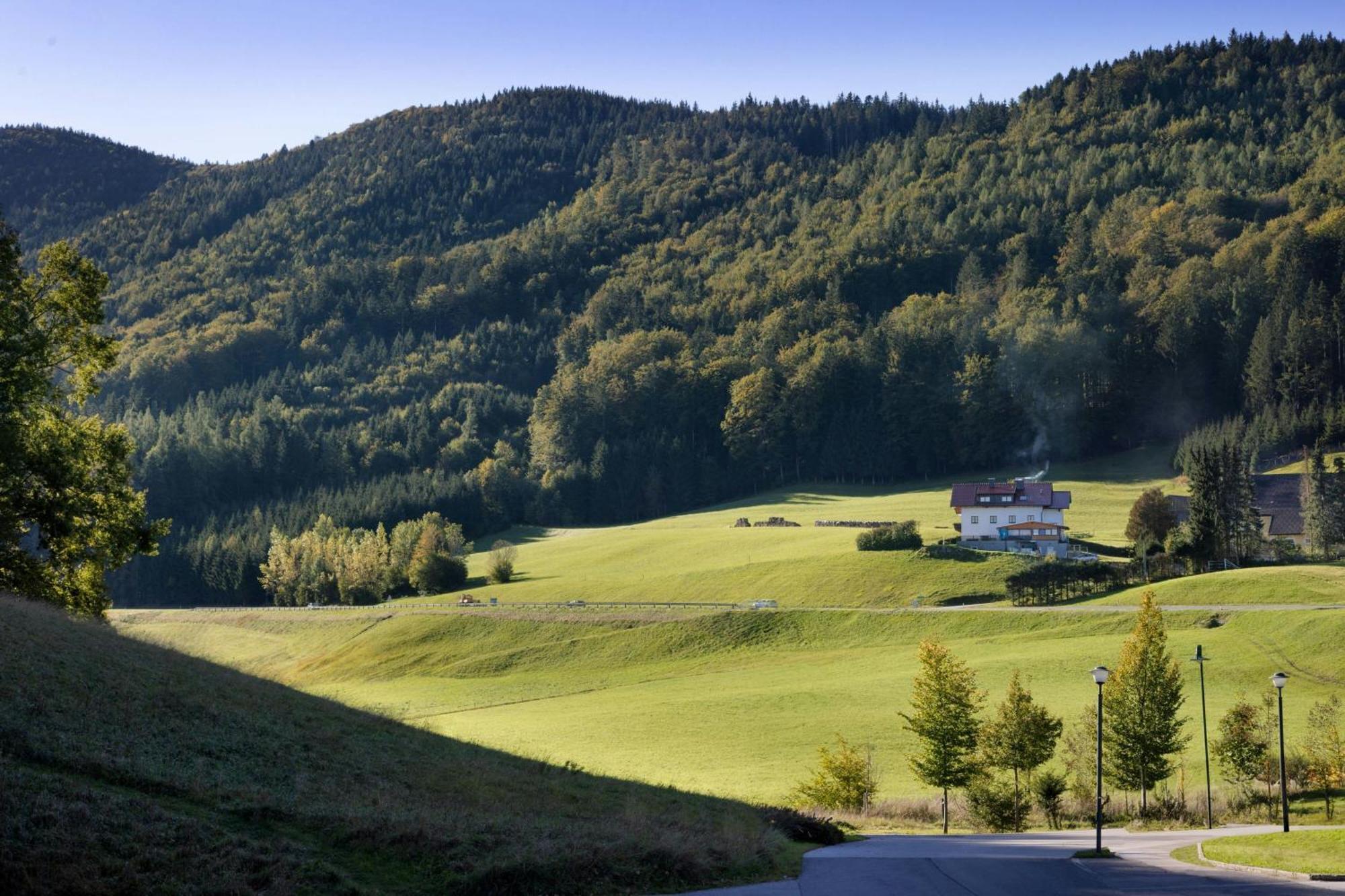 Hotel Arabella Jagdhof Am Fuschlsee, A Tribute Portfolio Hof bei Salzburg
