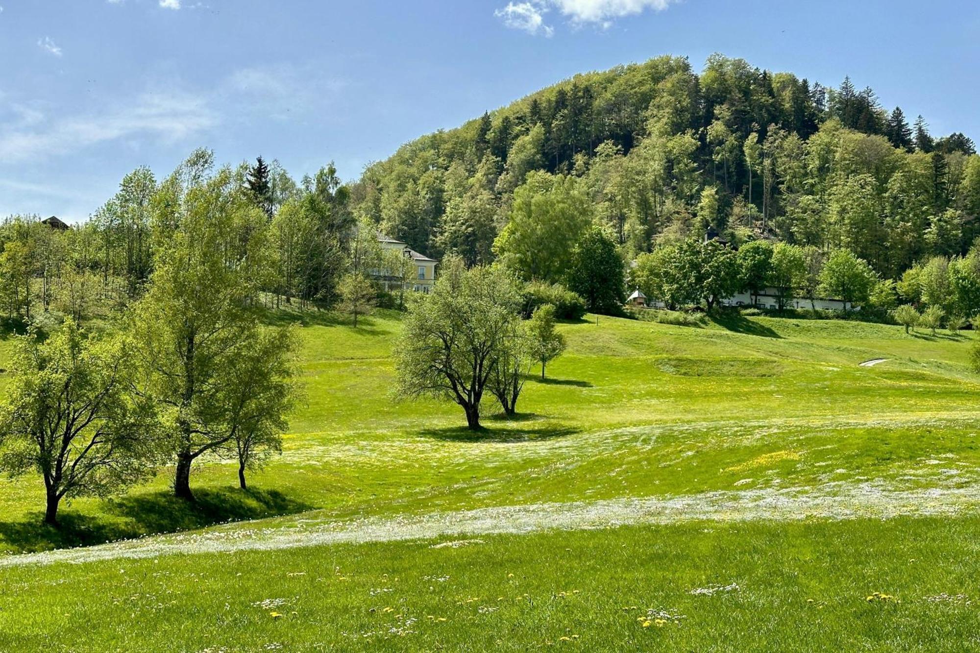 Arabella Jagdhof Am Fuschlsee, A Tribute Portfolio Hotel Hof bei Salzburg